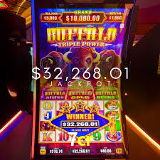 A Experiência Imersiva dos Cassinos Ao Vivo no 7cr